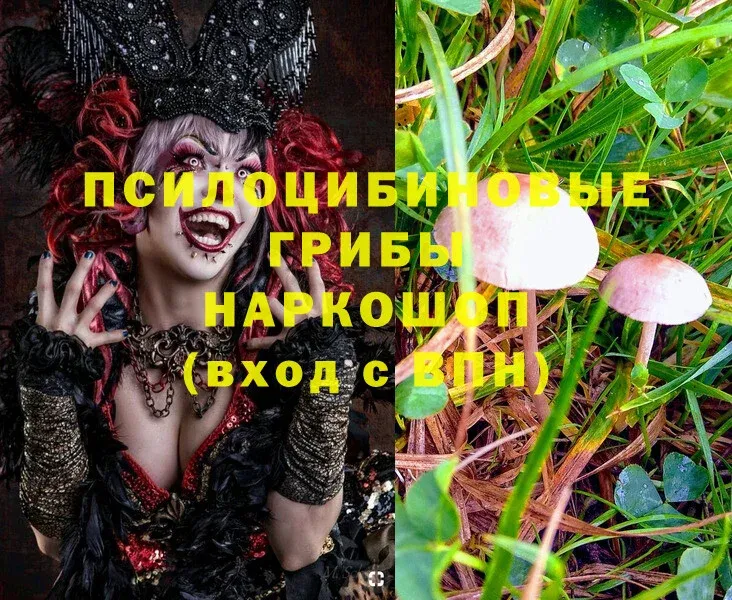 мориарти формула  Грайворон  Псилоцибиновые грибы MAGIC MUSHROOMS 